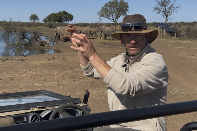 Life of a Ranger: Elephant mothers and allomothers