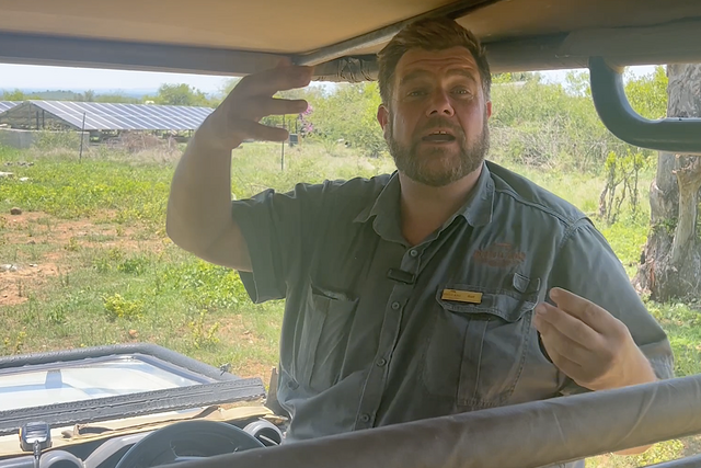 Life of a Ranger: Female rhino in oestrous