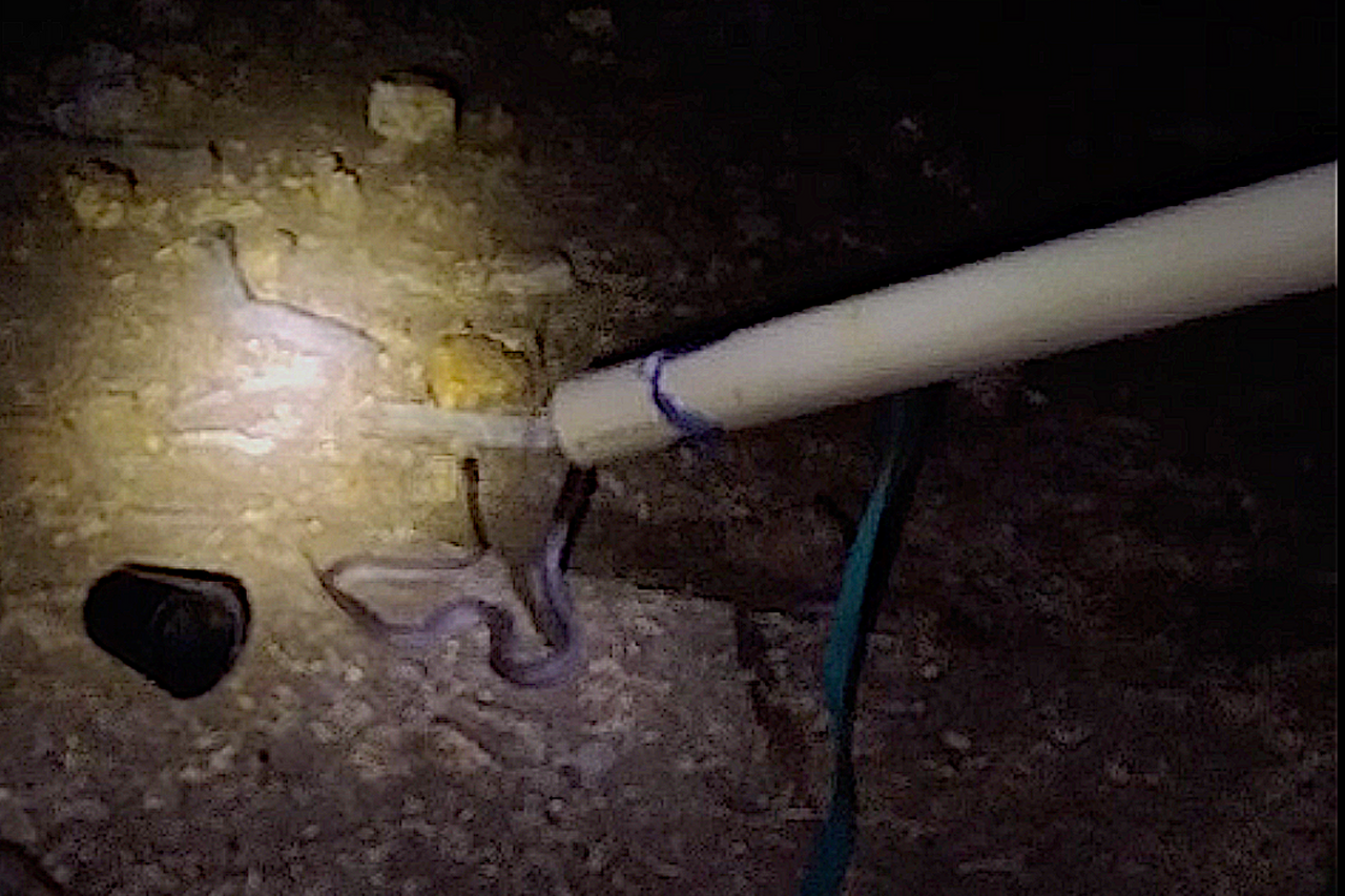 Screenshot 2024 03 15 at 10 40 18