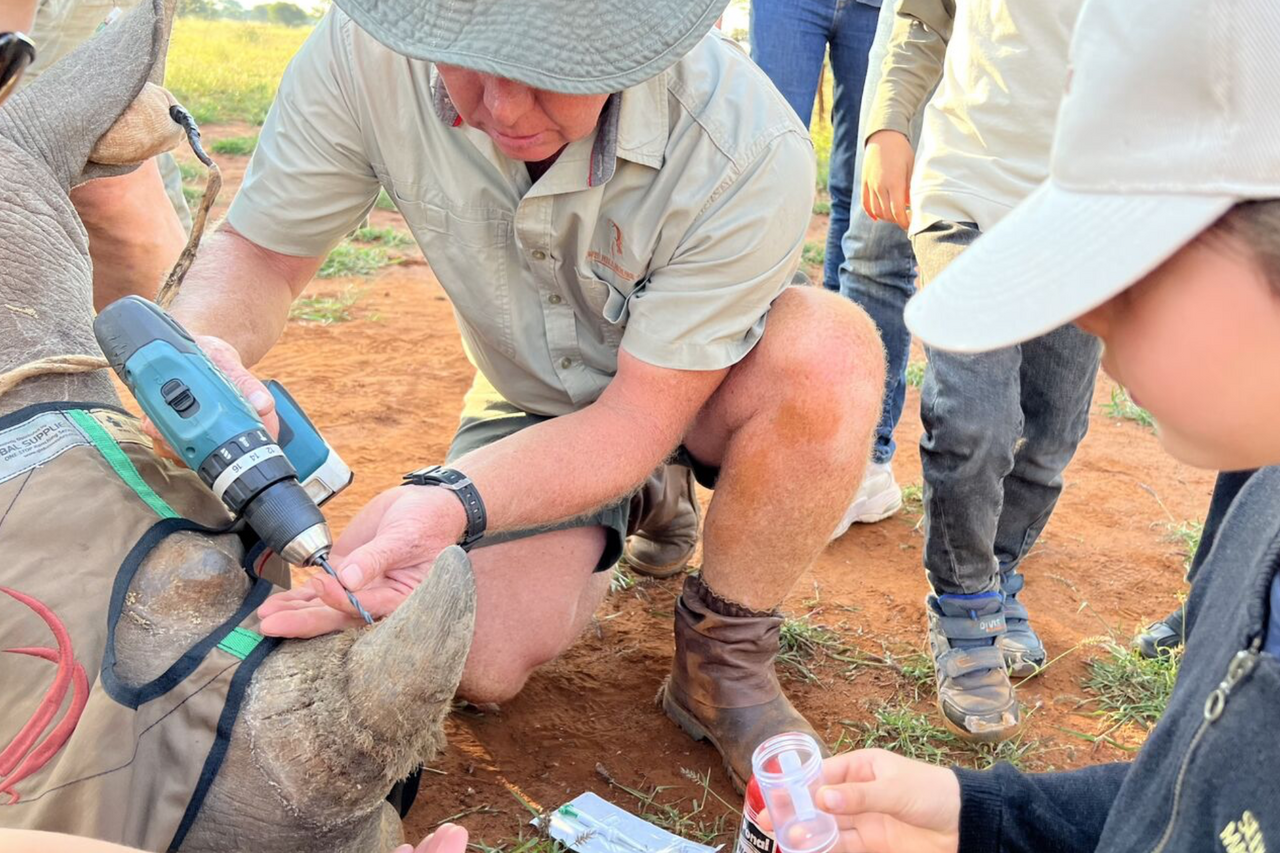 Screenshot 2024 07 29 at 08 55 51