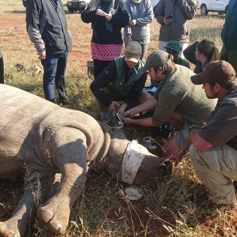 2018 05 11 16 29 45 8b4d6721ce7a5a4052f3c07d20423959