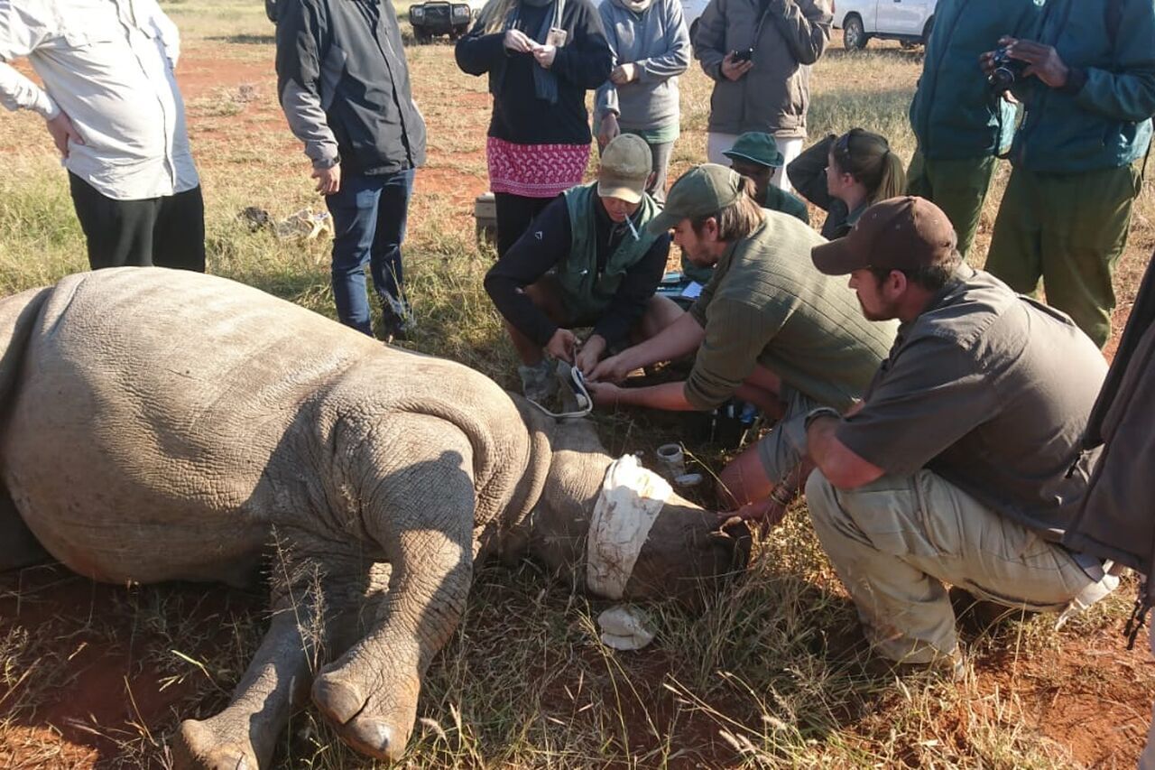 2018 05 11 16 29 45 8b4d6721ce7a5a4052f3c07d20423959