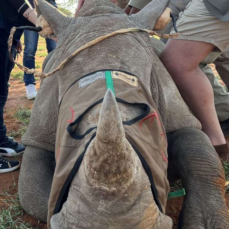 Screenshot 2024 07 29 at 08 55 57