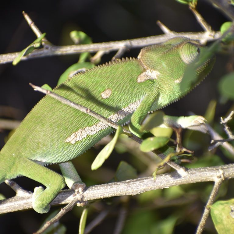 Screenshot 2024 08 25 at 23 24 43