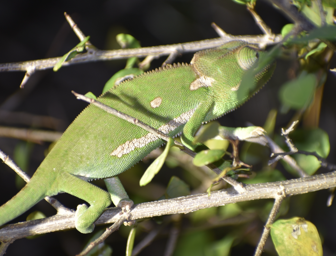 Screenshot 2024 08 25 at 23 24 43