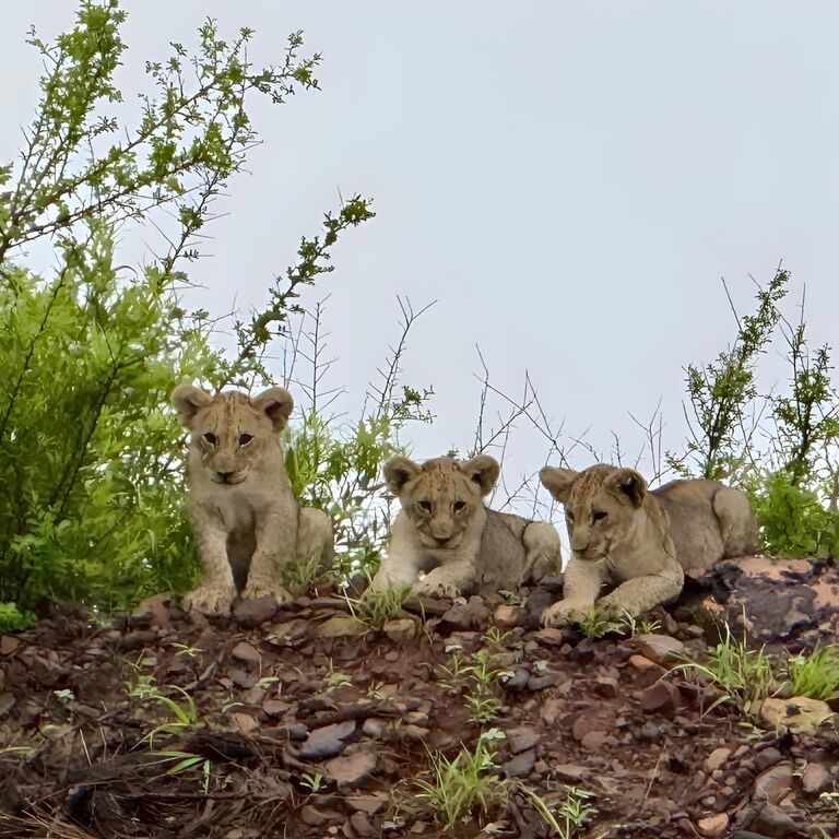 2ca39cc0 2dd6 48c9 abf4 038b48da8ebd