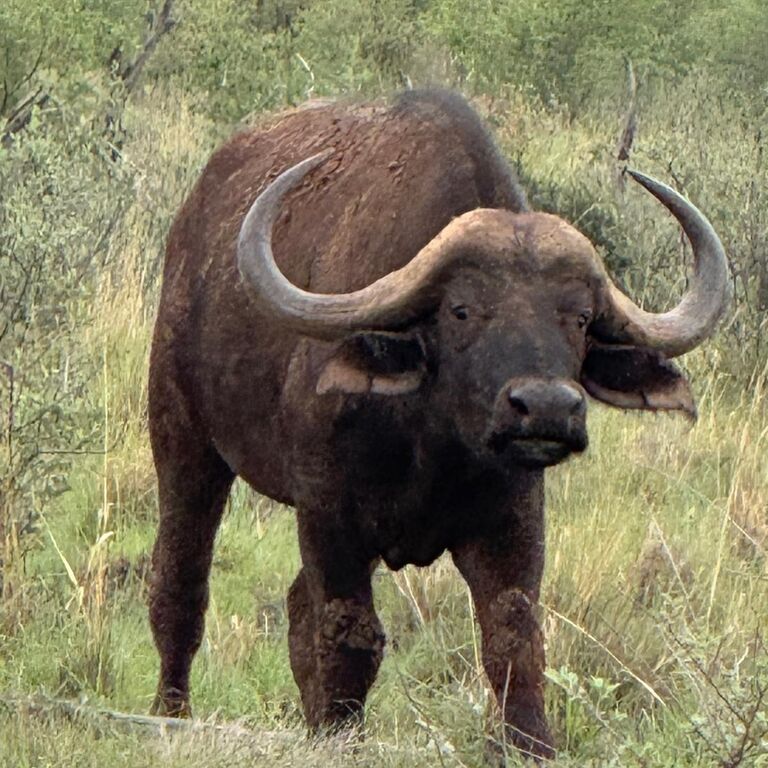 B15c3167 b17c 4bcf aa0c de08e0fc797a