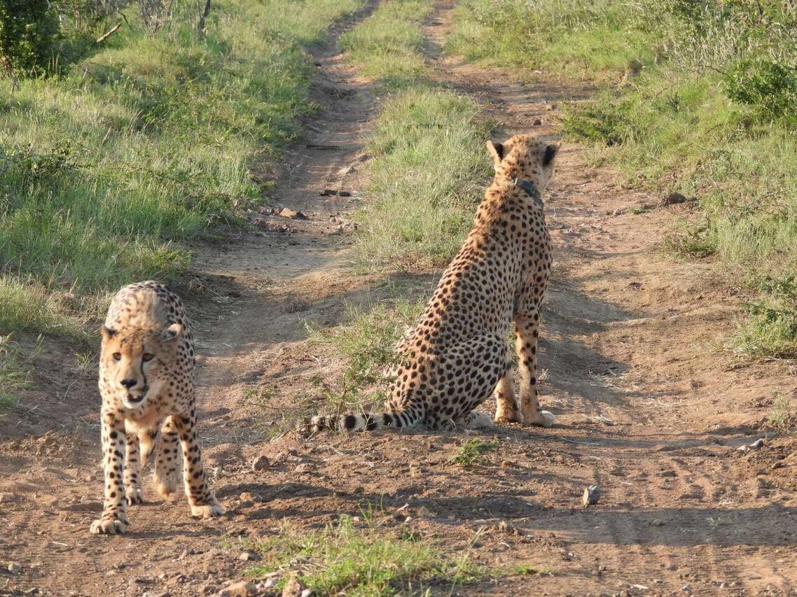 PHOTO 2025 03 06 18 24 48