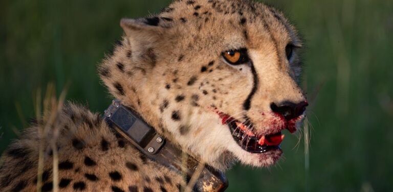 PHOTO 2025 03 08 09 28 08