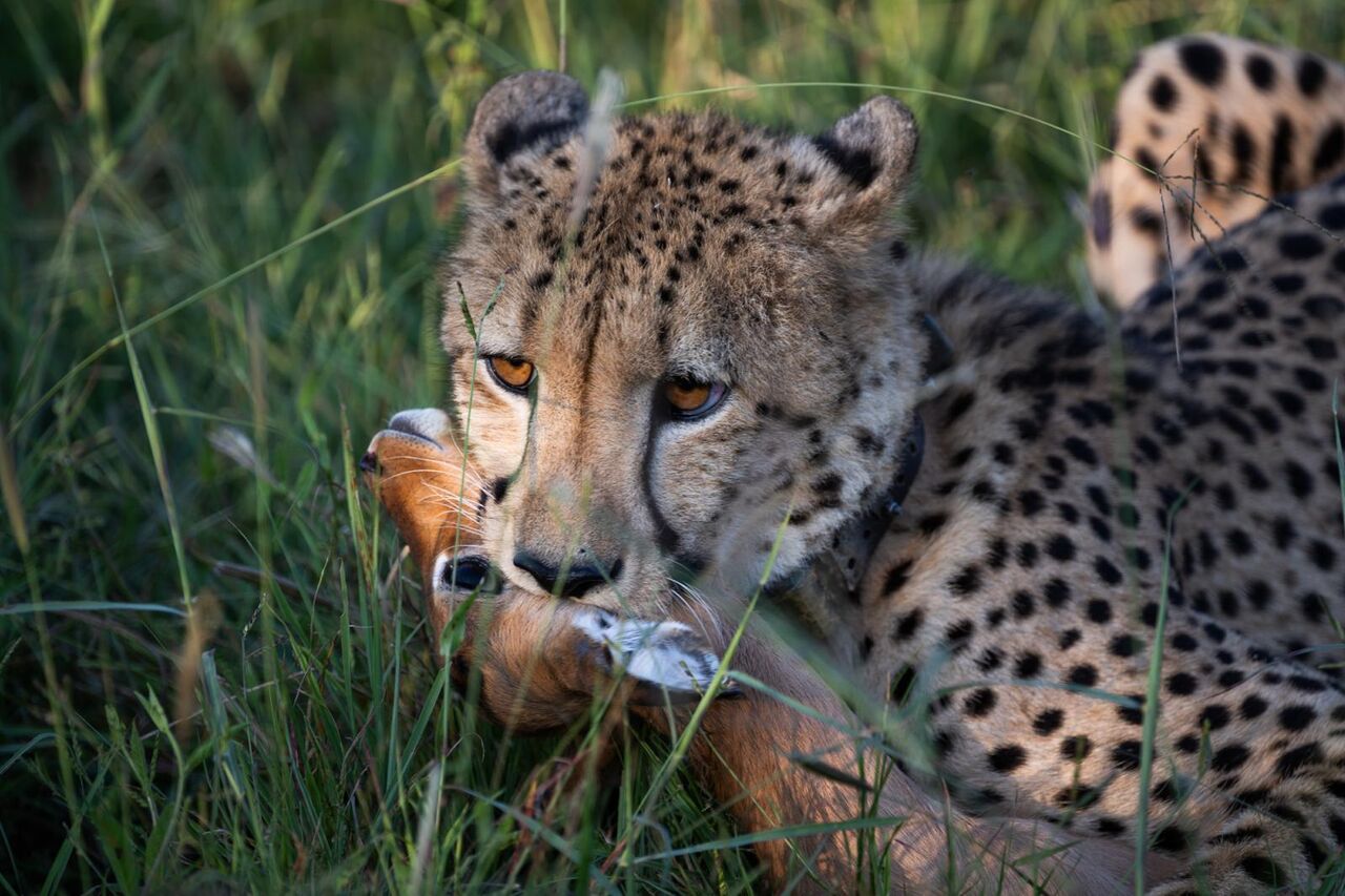 PHOTO 2025 03 08 09 28 07