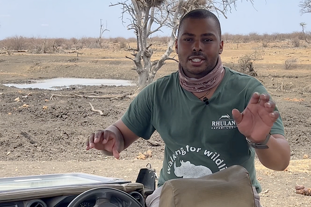 Life of a Ranger: The leopard in the tree