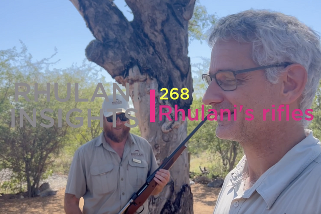 Rhulani Insights 268 – Rhulani’s rifles