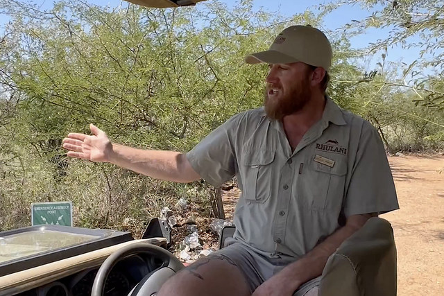 Life of a Ranger: Almost grown-up cheetah boys