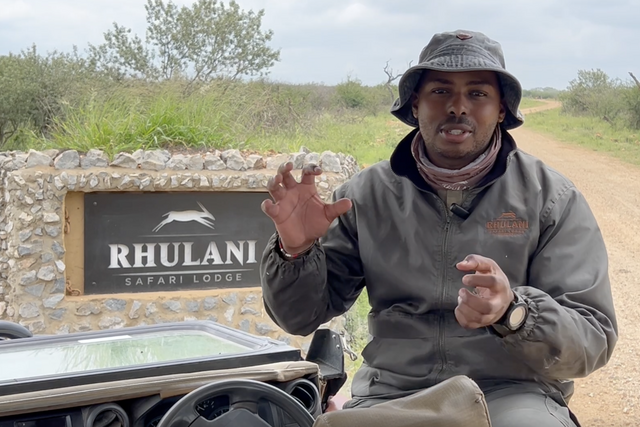 Life of a Ranger: Lively lion cubs