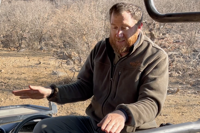 Life of a ranger: an elephant calf, just born