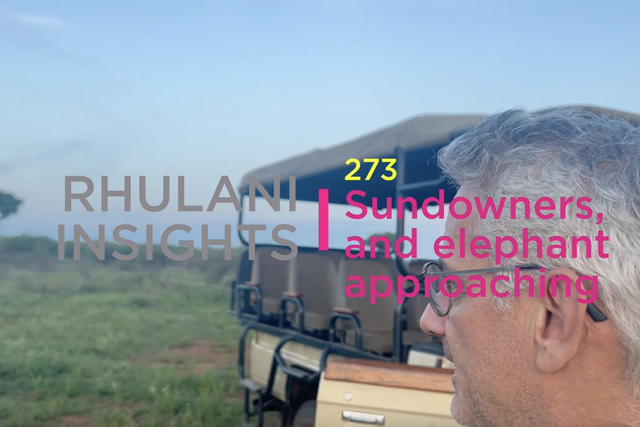 Rhulani Insights 273 – Sundowners, and elephant approaching