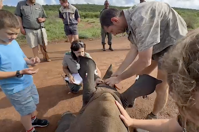 A once-in-a-lifetime experience: Rhulani guests support rhino conservation in Madikwe