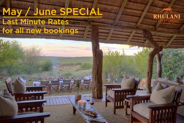 May/June Special – Experience Luxury Safari for Less