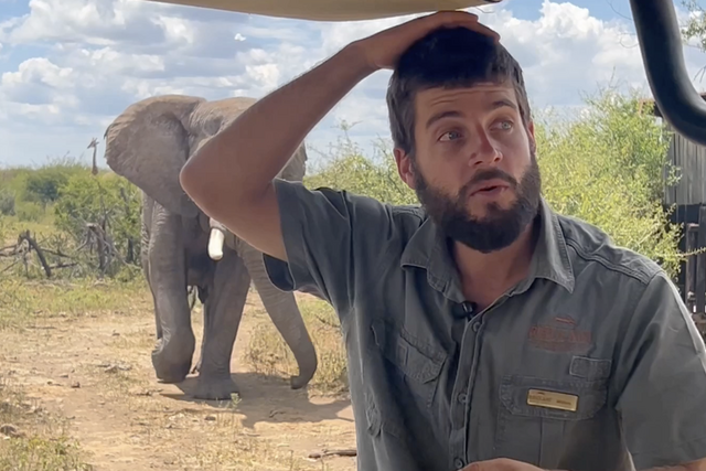 Rhulani Minute Safari: Female giraffe ossicones