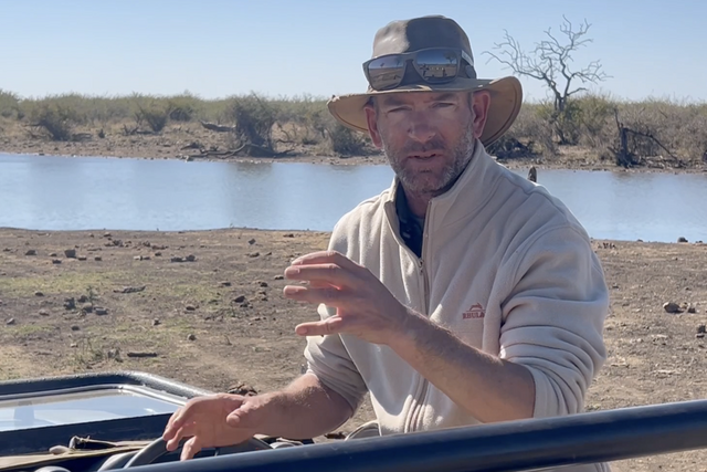 Life of a Ranger: The lioness picks up a scent