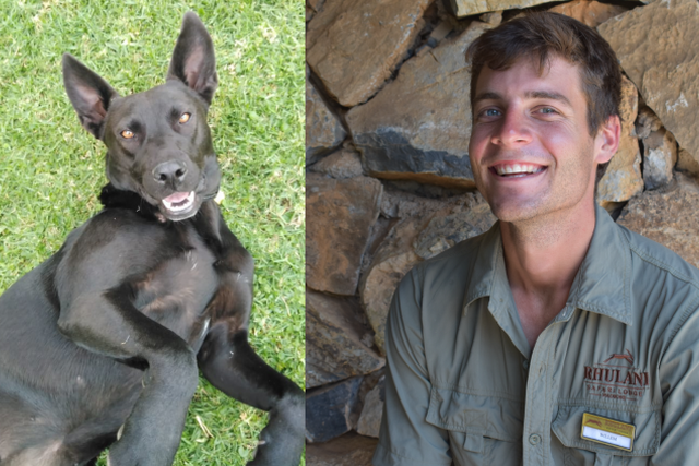 The dangerous playmates of Willem’s dog Emily