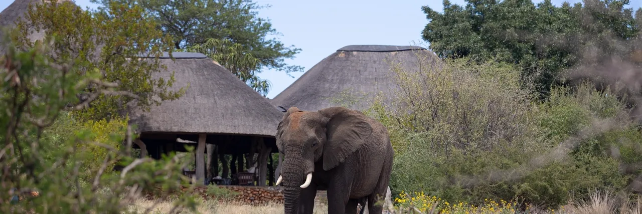 Rhulani Safari Lodge